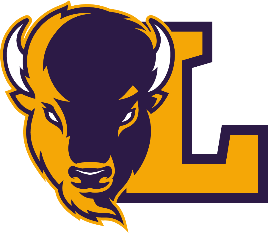 Lipscomb Bisons 2020-Pres Alternate Logo v4 diy iron on heat transfer
